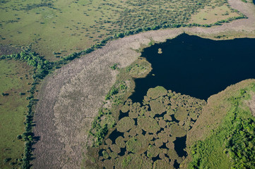 Vista aérea de lago na Ilha do Bananal, Tocantins, Brasil.