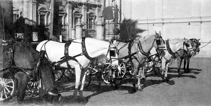 Horses and carriages in Seville, Retro film