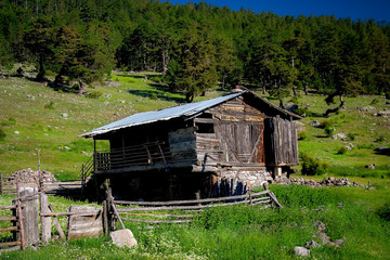 Obraz premium old wooden house in mountains