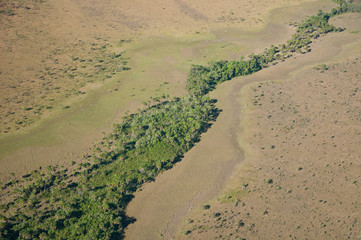 Vista aérea de vereda no Jalapão em Mateiros, Tocantins, Brasil.