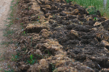 row of opened ground