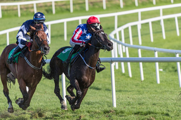 Two Race horses and jockeys competing for first place, horse racing action
