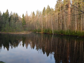 Лесное озеро
