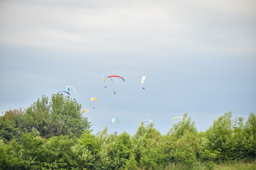 Festival of the Sky. 
Paragliders fly in the sky. Paragliding show for people