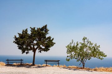 Aussicht auf das Meer mit zwei Sitzbänken und zwei Bäumen im Vordergrund