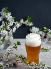 A spring glass of craft beer on the table with white cherry blossoms