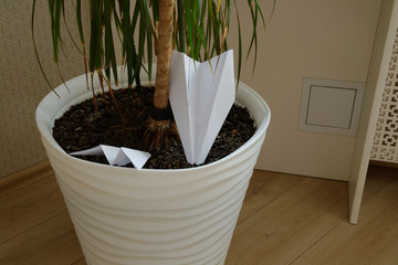 paper planes landed in a pot of indoor flowers
