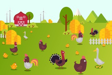 Obraz na płótnie Canvas Animal farm collection vector illustration. Hens, ducks, turkeys and chicks in farmland yard. Birds breeding in country, ecologicaly clean environment. Banner green grass and haystacks.