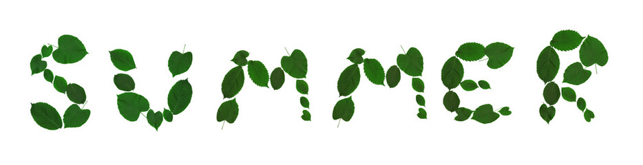 Summer word text style made with Green Leaf