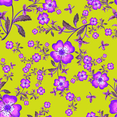  Seamless pattern of wild flowers. Stylish print for textile design and decoration. 
