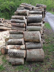 Holzpolter, gesägtes Buchenholz gestapelt