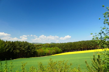 Landwirtschaftliche Flächen im Burgenland