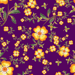 Seamless pattern of wild flowers