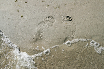 Human footprints on wet sand