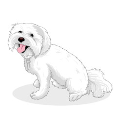 Dog white characters breads illustration.