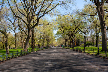 The Mall-Central Park, Manhattan, New York City in Spring