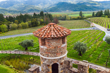 View of Vineyard at  an Italian Style Castle in Napa Valley,Calistoga, California, USA