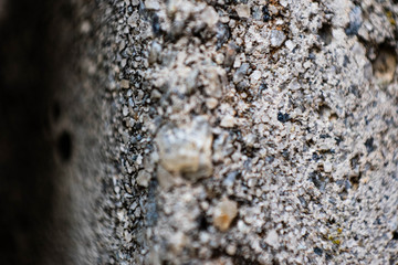 Cement Wall