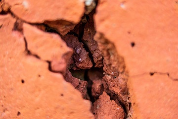 Red Brick Wall