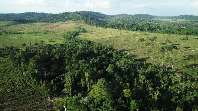 4k Aerial Amazonas Deforestation