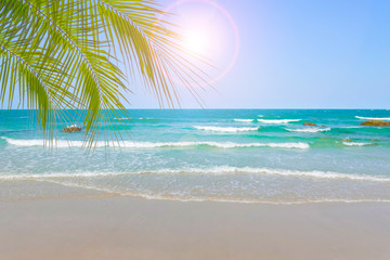 Fototapeta na wymiar tropical beach with palm trees in the summer