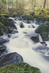 mountain river in the forest