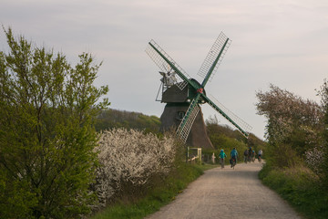 Fototapeta na wymiar Radtour, Mühle Charlotte, Naturschutzgebiet Geltinger Birk, Ostsee, Schleswig-Holstein, Deutschland