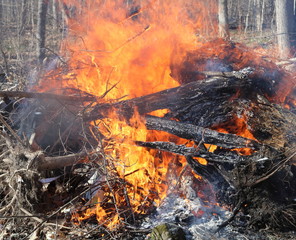 Brush fire outdoors during spring
