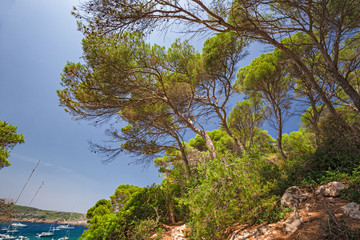 Panoramic view of a beach full of bathers on the island of Menorca in Spain. - obrazy, fototapety, plakaty