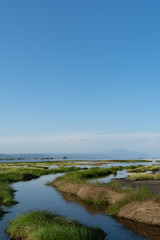 Fototapeta na wymiar view of the coast of the river