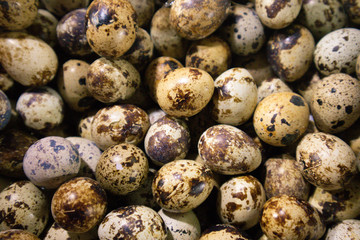 In the picture there are many quail eggs.