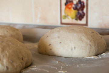 homemade sourdough bread