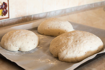 homemade sourdough bread