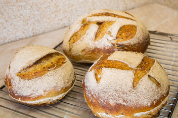 homemade sourdough bread