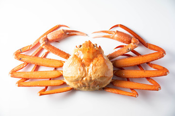 isolated snow crab on white background - obrazy, fototapety, plakaty