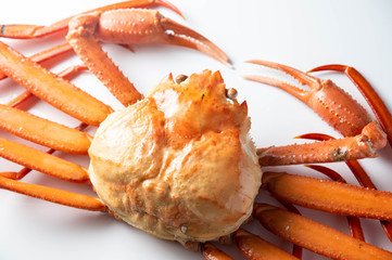 isolated snow crab on white background © ahirao