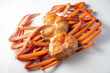 isolated snow crab on white background