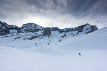 Fototapeta na wymiar Ski touring in the mountains 