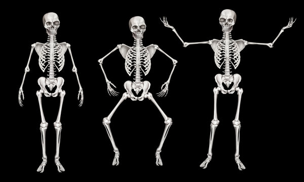 Human skeleton in different poses. Clip art set on black background