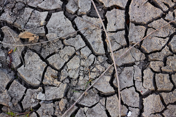 Cracked dried up ground background.