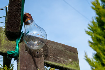 Traditionally shaped Edison screw solar LED lightbulb handing from a dark brown pergola, against a blue sky with blurred trees in the background.