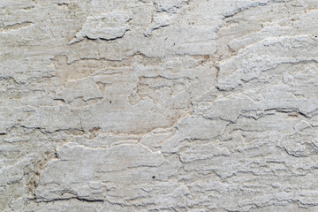 Close up of a textured garden paving slab.
