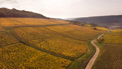 Fototapeta na wymiar vue aérienne des vignes de Bourgogne à Meursault en automne avec les vignes jaunes