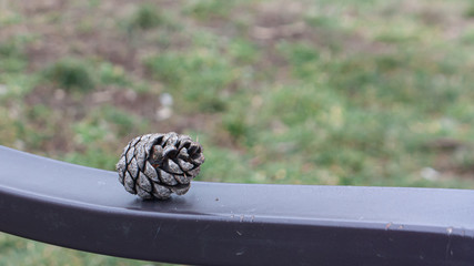 A bump on the handrails of a Park bench