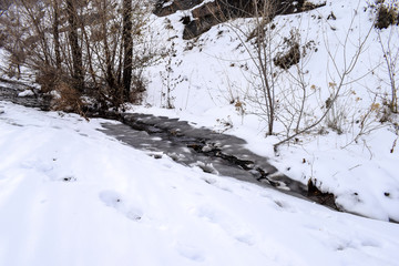 Small stream flowing through ice, Dinosaur Ridge, Colorado, USA