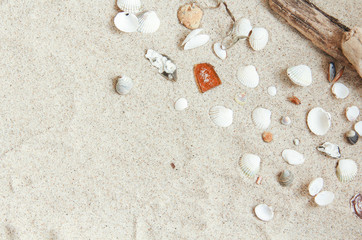 Fototapeta na wymiar Strand Sand Urlaub Hintergrund Stein Steine Kieselsteine Treibholz Muschel Muscheln