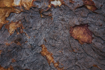 Background of the rough surface sandstone