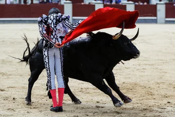 Gordijnen Bullfight in Spain © KABUGUI