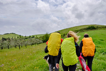 Pilgrims, backpackers walking on the path with mod and wind in a  rainy day. Solo Backpacker Trekking on the Via Francigena from Lucca to Siena. Walking between nature, history, churches,