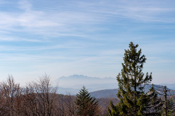 Mountain Jaworzyna Krynicka in Beskid Sądecki